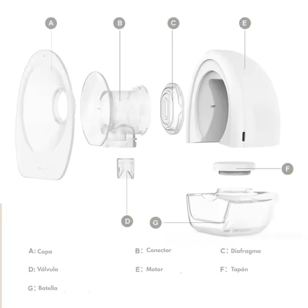 Extractor de leche eléctrico manos libres Mellow